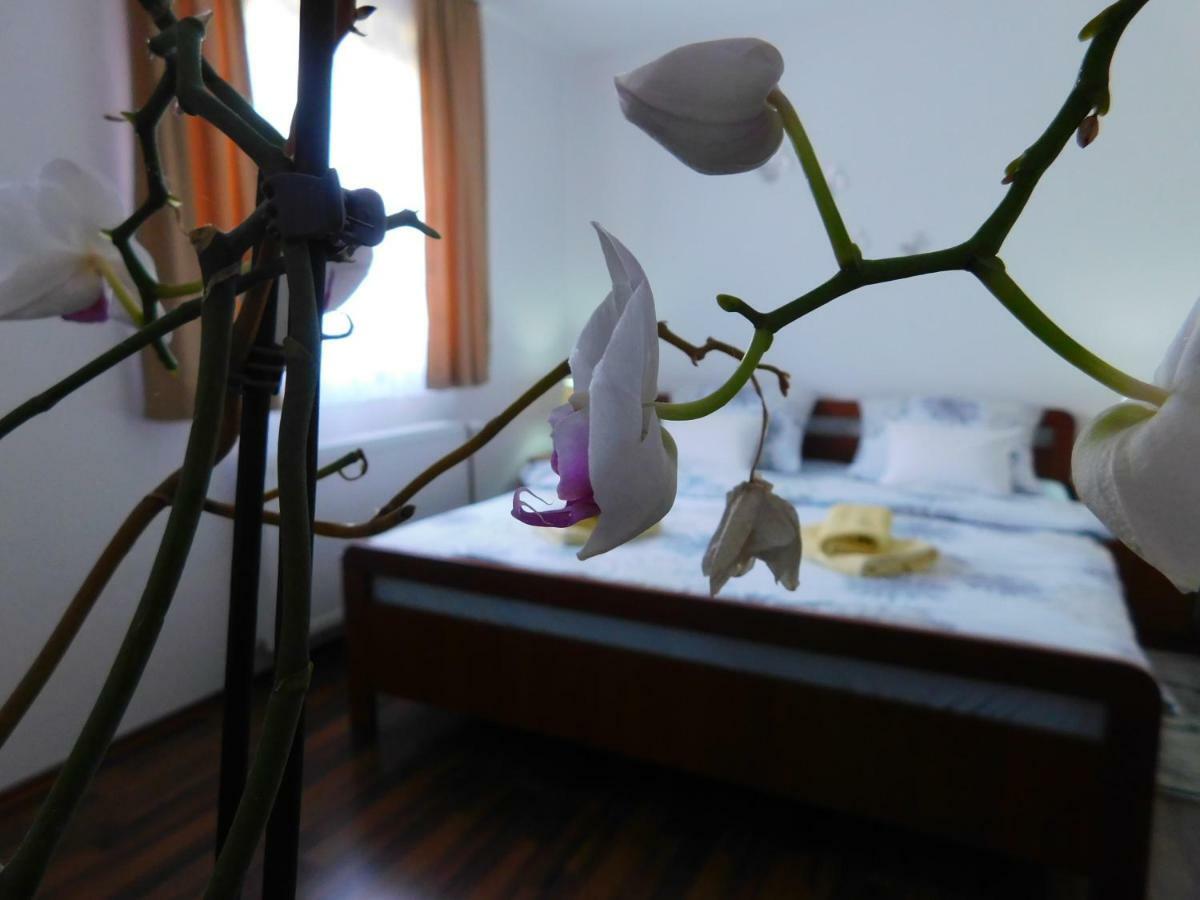 סלוניי Apartment Petrovic מראה חיצוני תמונה